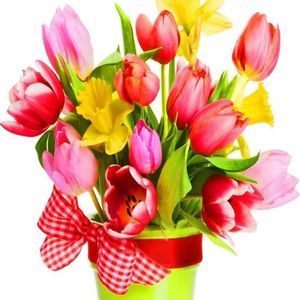 Meet your Posher, Susan